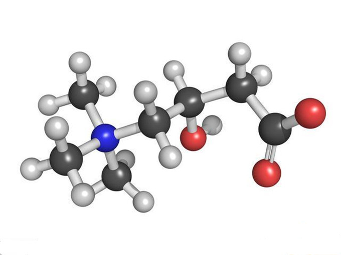 Wat is L-carnitine?