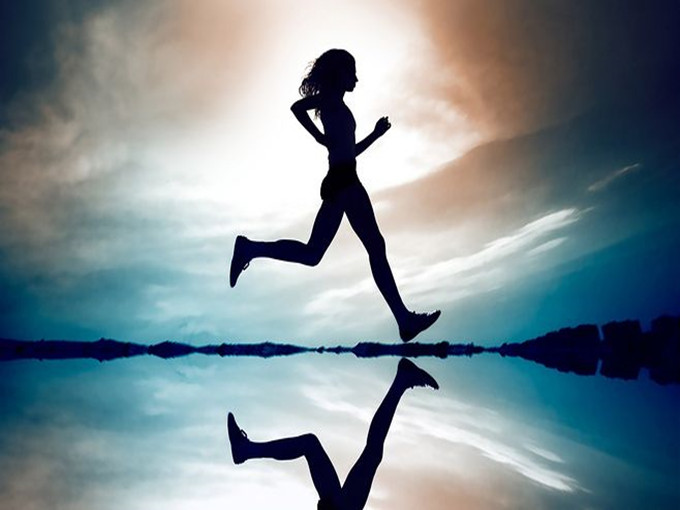 De functies van L-carnitine